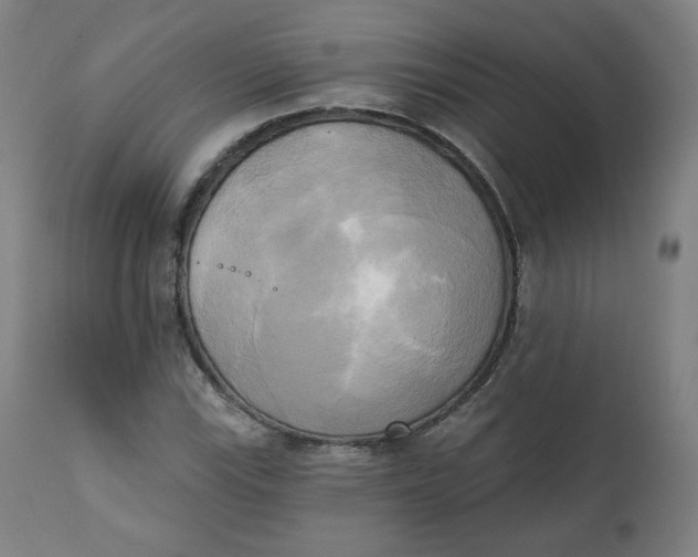 X0000111221115200907161244