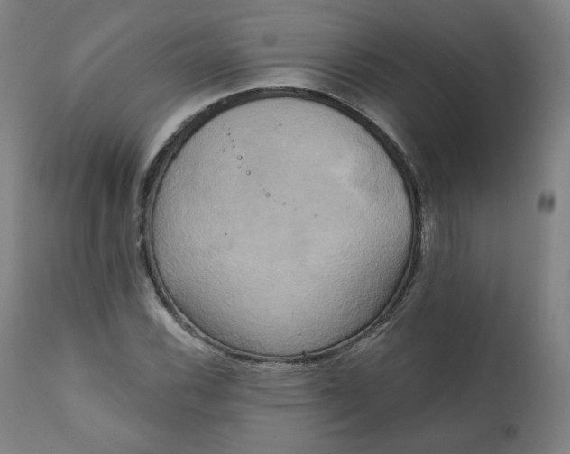 X0000111221116200907161244