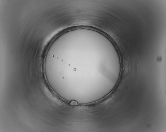 X0000111221118200907161244
