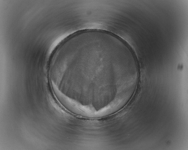 X0000111221120200907161245