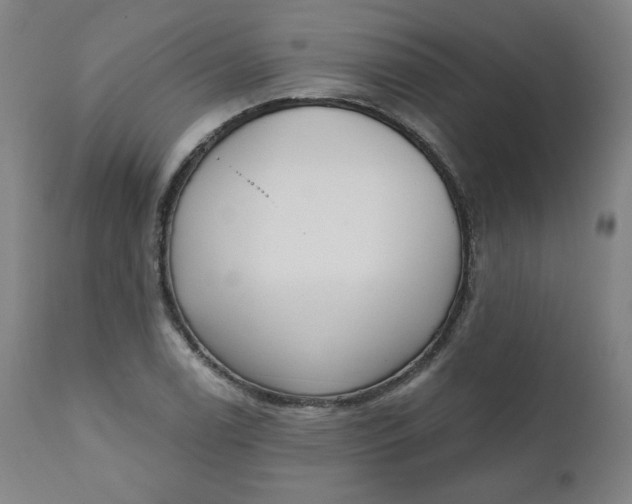 X0000111221122200907161245