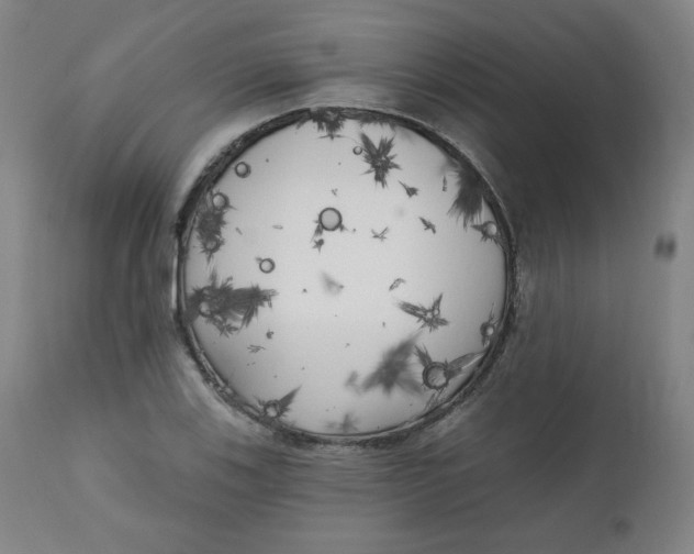 X0000111221123200907161245