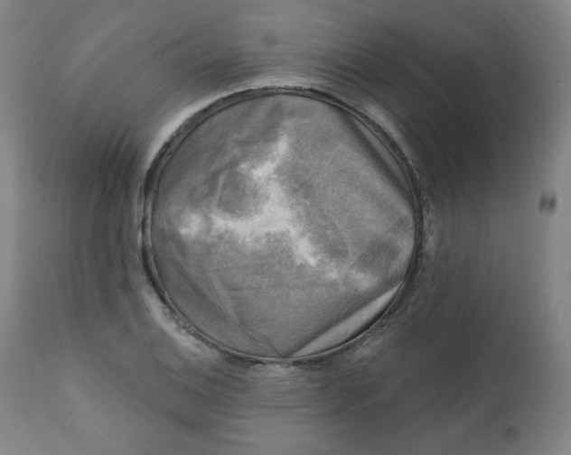X0000111221124200907161245