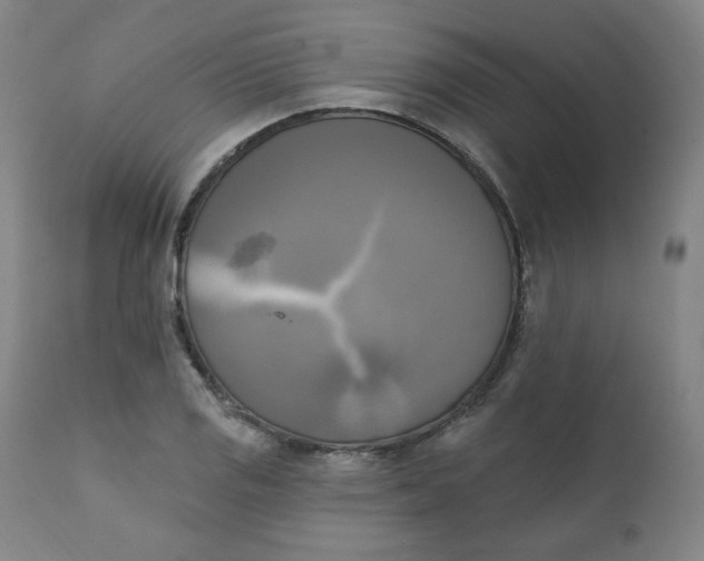 X0000111221125200907161245