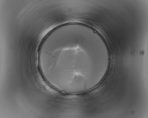X0000111221127200907161245