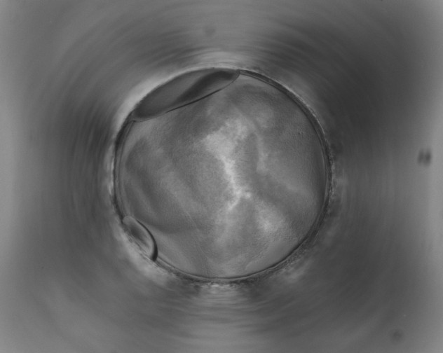 X0000111221128200907161245
