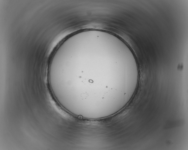 X0000111221131200907161245