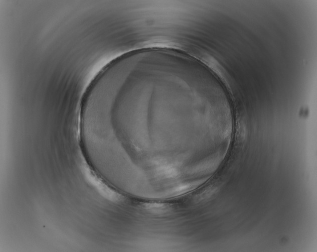 X0000111221132200907161245