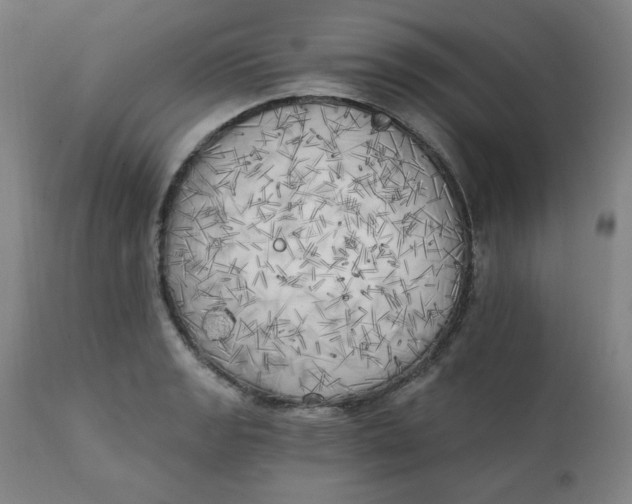 X0000111221133200907161245