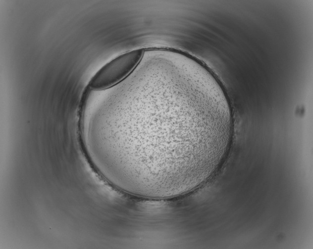 X0000111221134200907161245