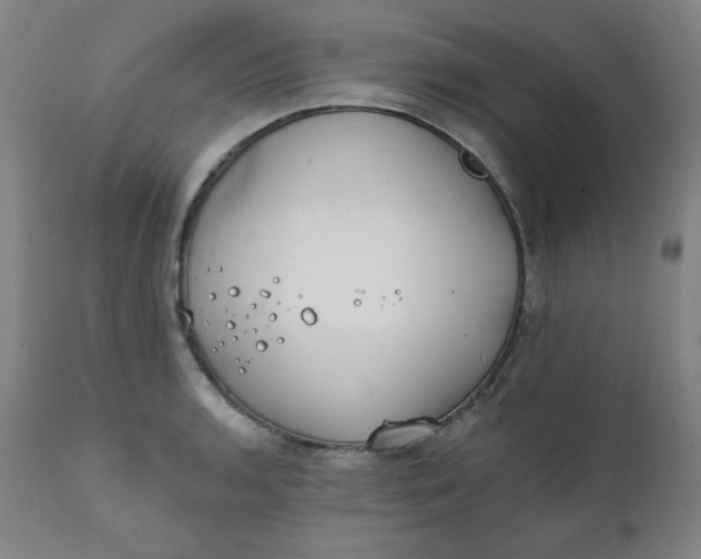 X0000111221136200907161245