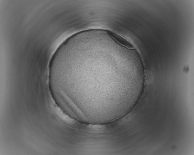 X0000111221140200907161245