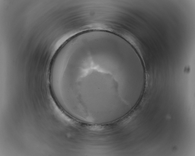 X0000111221141200907161245