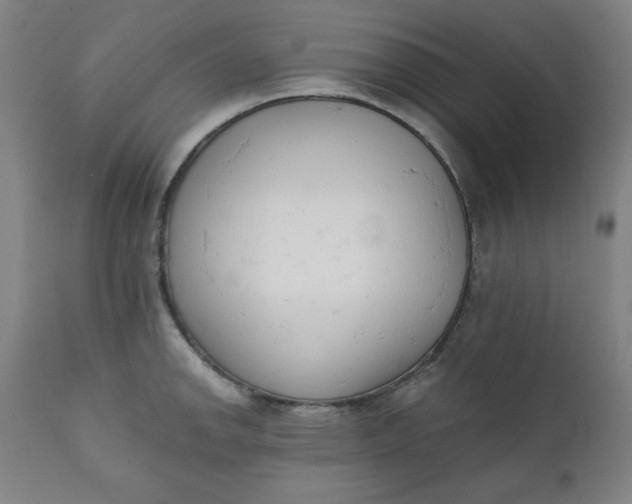 X0000111221142200907161245