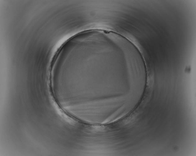X0000111221144200907161245
