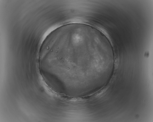 X0000111221146200907161245