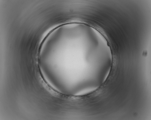 X0000111221148200907161245