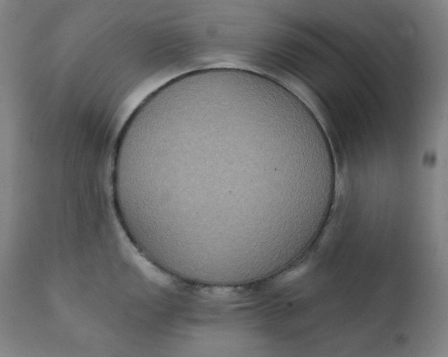 X0000111221149200907161245