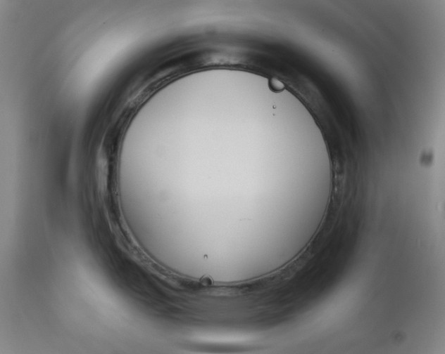 X0000111221151200907161245