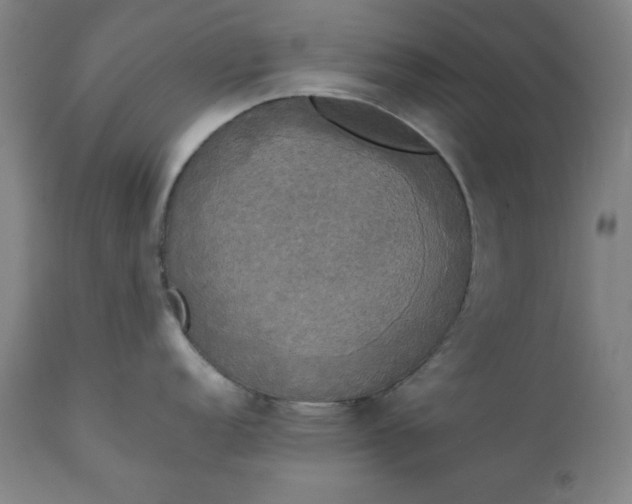 X0000111221152200907161245