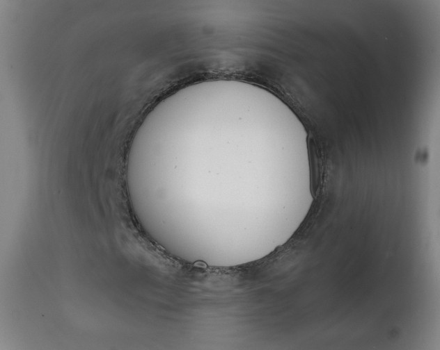 X0000111221153200907161244