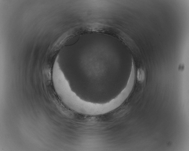 X0000111221155200907161244