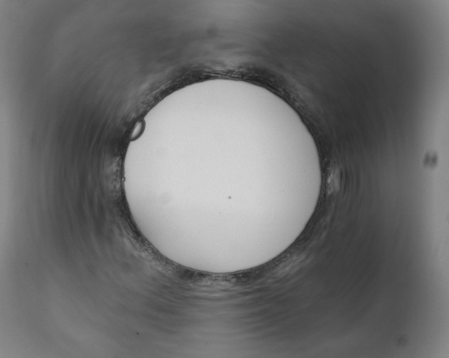 X0000111221156200907161244