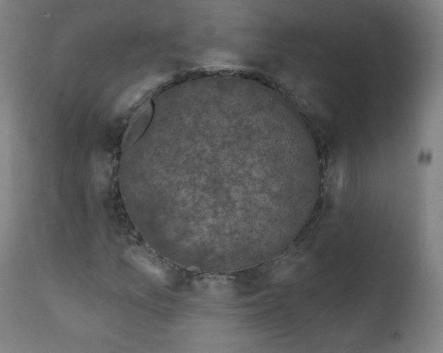 X0000111221157200907161244