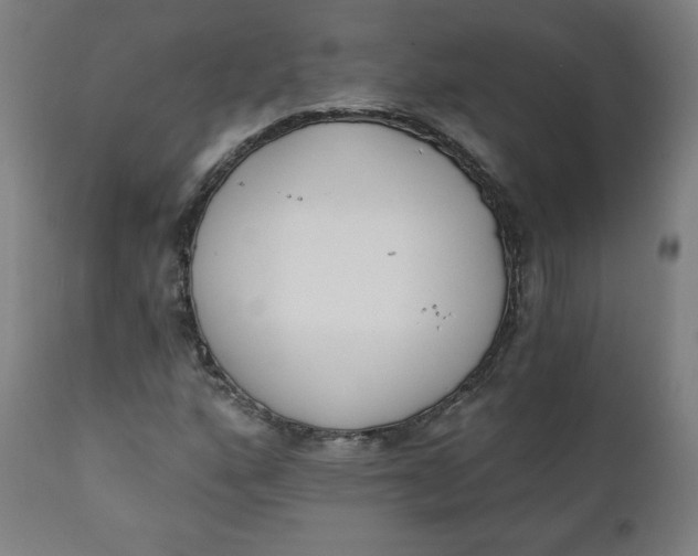 X0000111221160200907161244