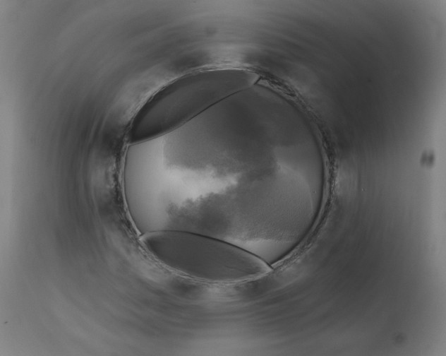 X0000111221161200907161244