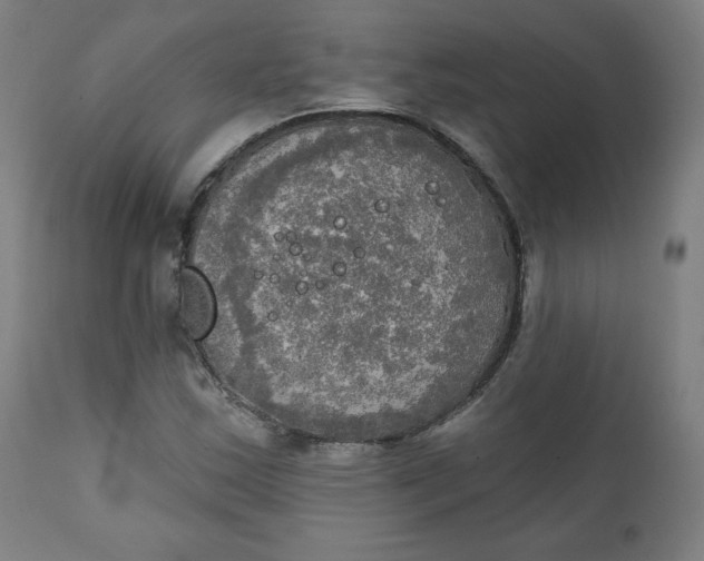 X0000111221163200907161244