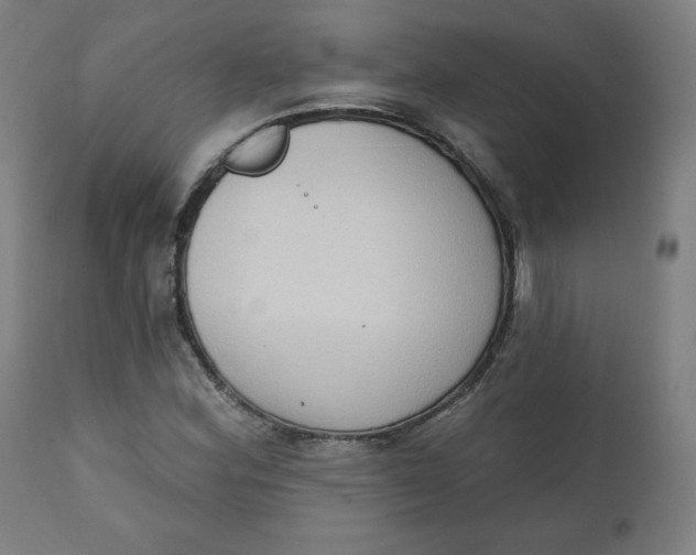 X0000111221164200907161244
