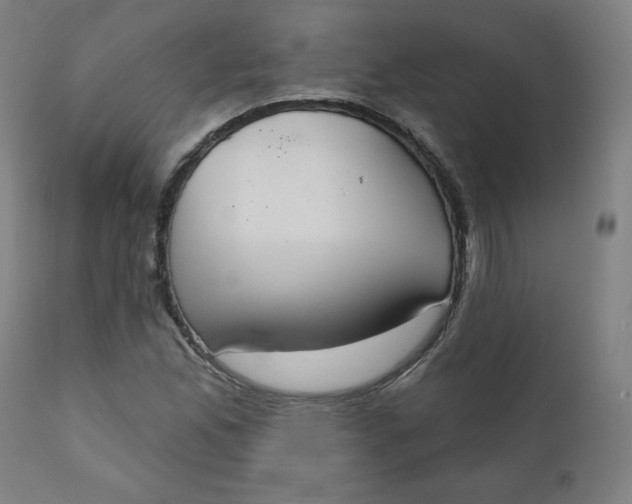 X0000111221165200907161244