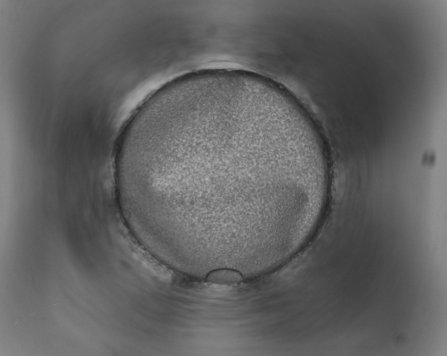 X0000111221167200907161244