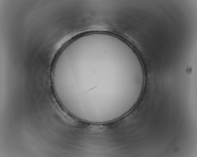 X0000111221168200907161244