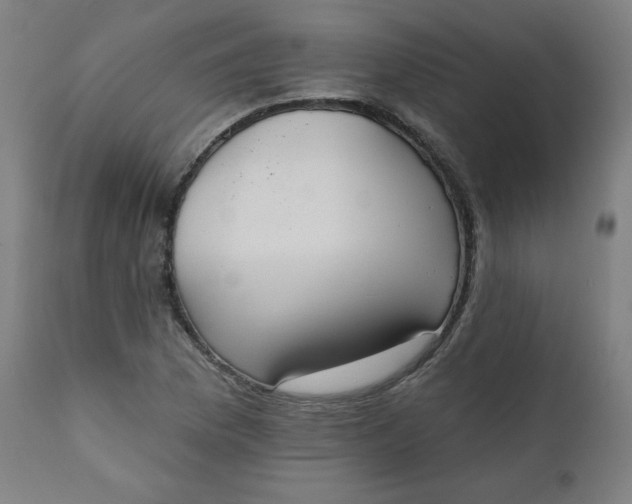 X0000111221169200907161244