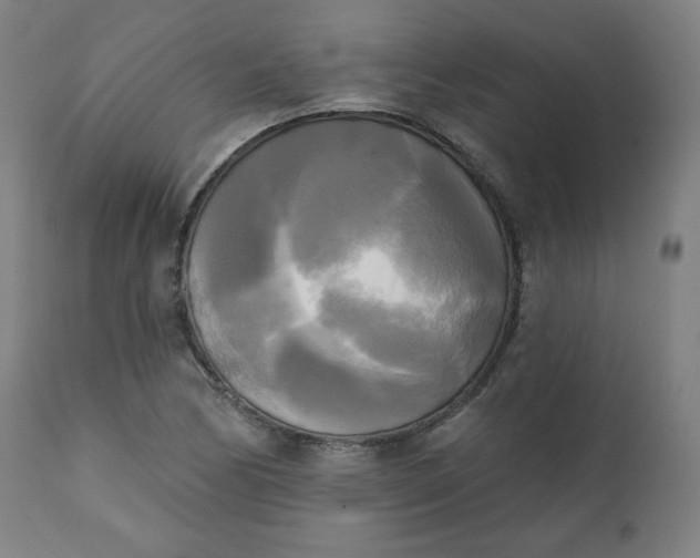 X0000111221170200907161244