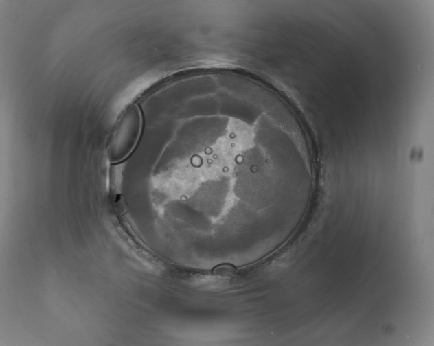 X0000111221171200907161244