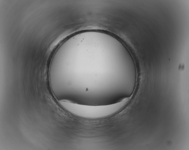 X0000111221173200907161244