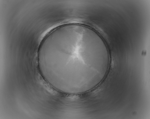 X0000111221174200907161244