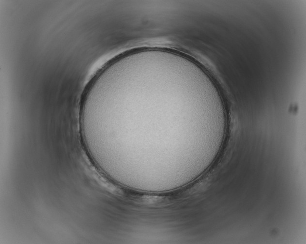X0000111221176200907161244