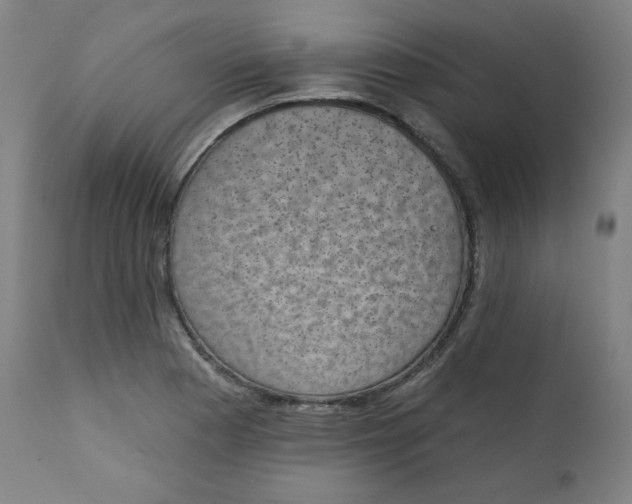 X0000111221177200907161244
