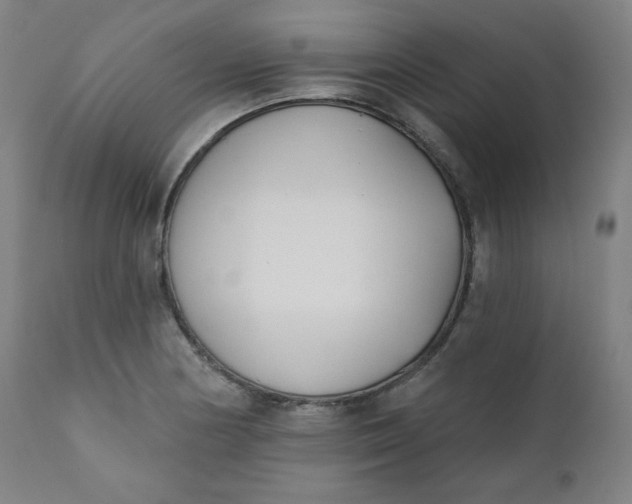 X0000111221178200907161244