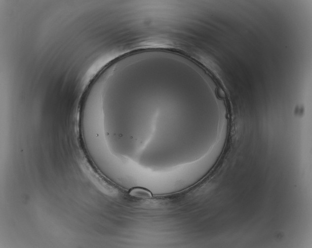 X0000111221179200907161244