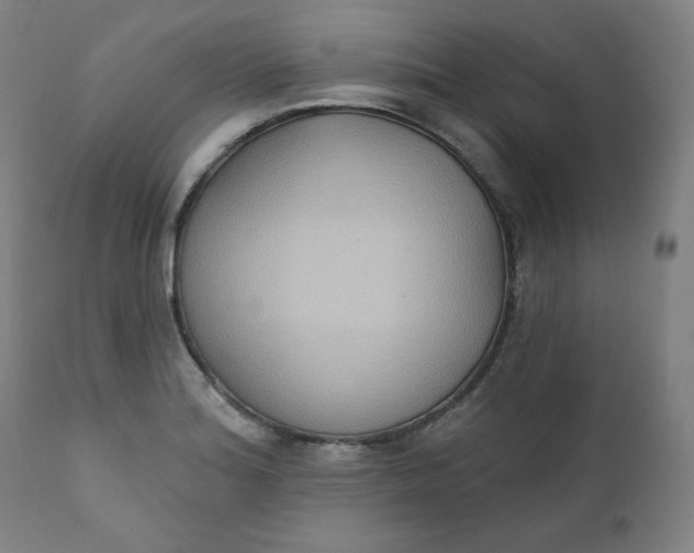 X0000111221180200907161244