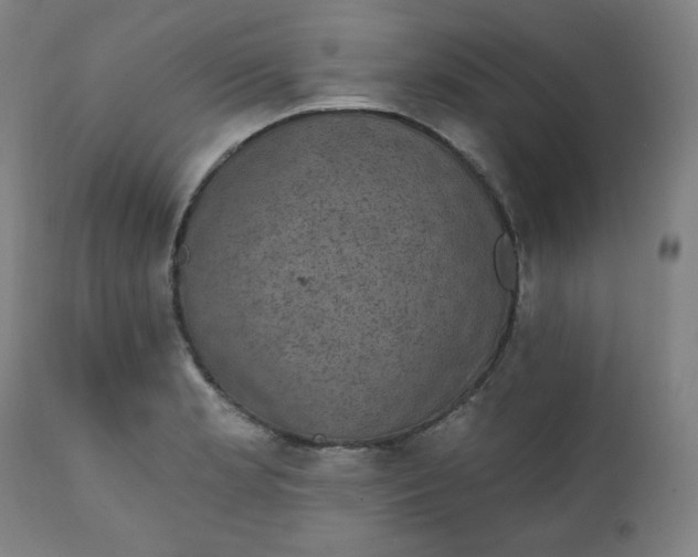 X0000111221181200907161244