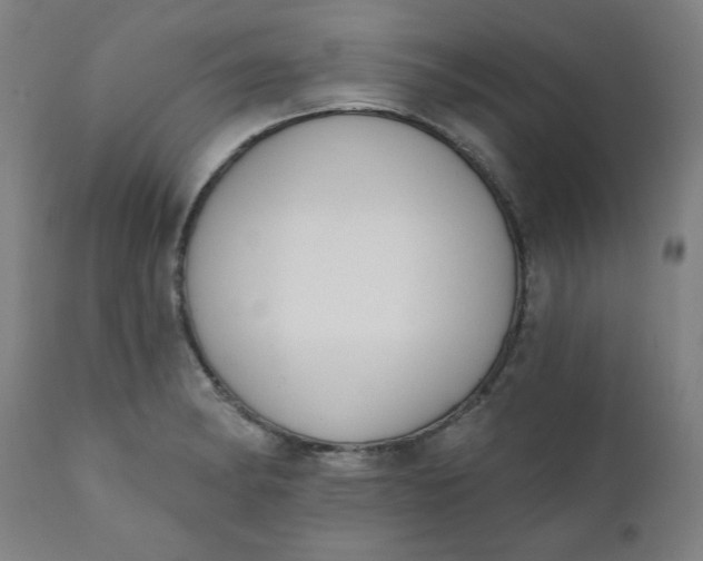 X0000111221182200907161244