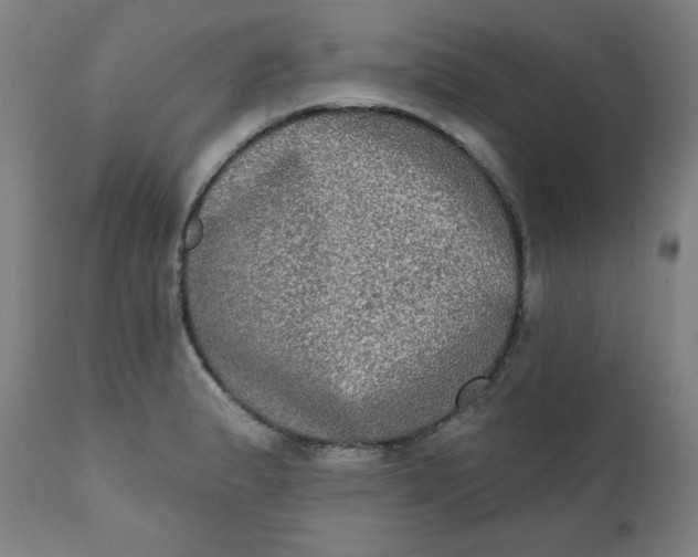X0000111221183200907161244