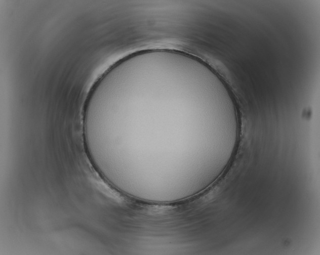 X0000111221184200907161244