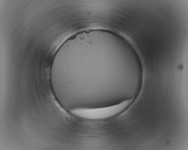 X0000111221185200907161244